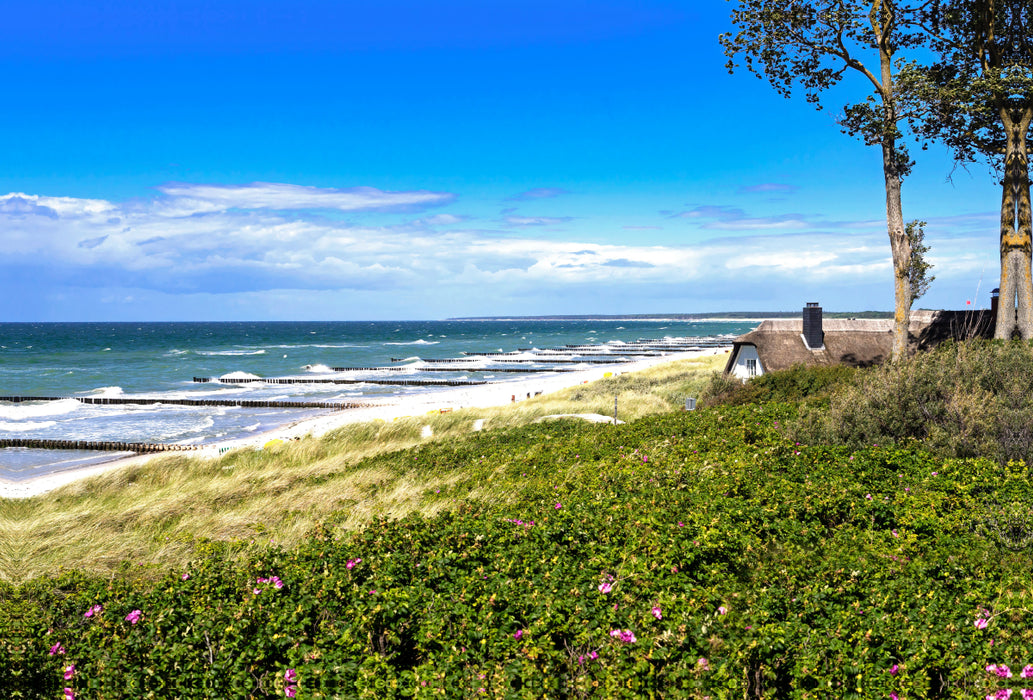 Premium textile canvas Premium textile canvas 120 cm x 80 cm landscape beach view near Ahrenshoop 