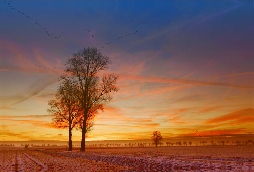 Premium textile canvas Premium textile canvas 120 cm x 80 cm landscape Sunrise in winter, fields in the Diepholz district 