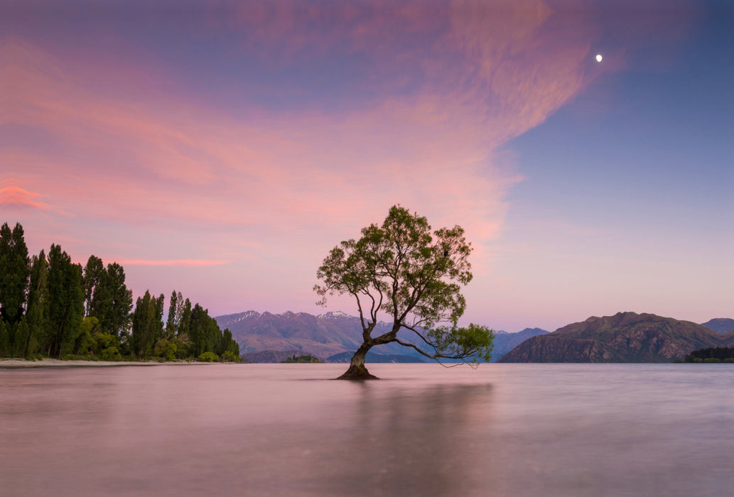 Premium textile canvas Premium textile canvas 120 cm x 80 cm landscape Wanaka Tree 