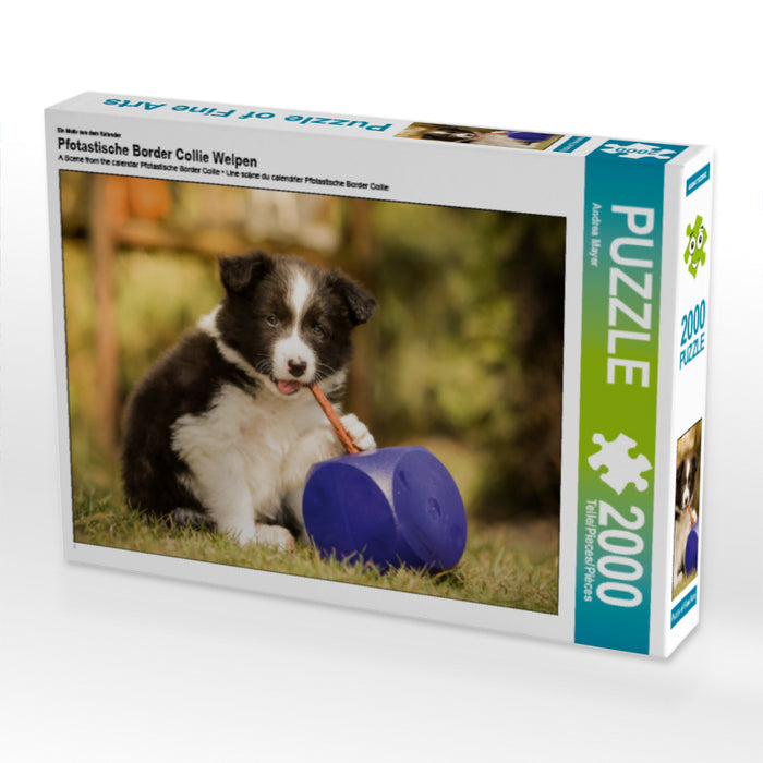 Pfotastische Border Collie Welpen - CALVENDO Foto-Puzzle - calvendoverlag 39.99