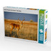 Impala-Antilope in der Savanne - Masai Mara - CALVENDO Foto-Puzzle - calvendoverlag 29.99