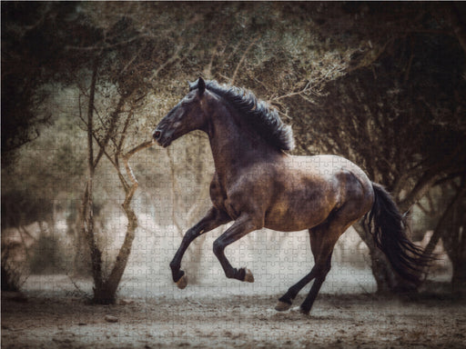 Die Faszinierende Welt der Pferde - CALVENDO Foto-Puzzle - calvendoverlag 29.99