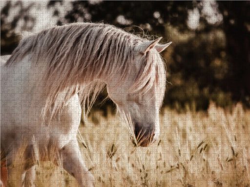 Die Faszinierende Welt der Pferde - CALVENDO Foto-Puzzle - calvendoverlag 29.99