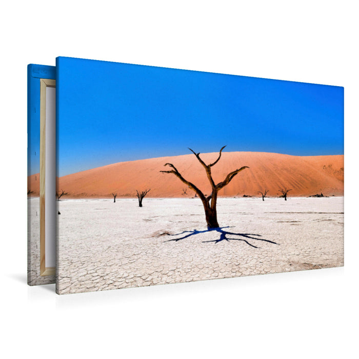 Premium Textil-Leinwand Premium Textil-Leinwand 120 cm x 80 cm quer Dead Vlei