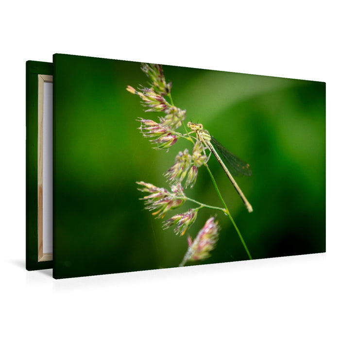 Premium textile canvas Premium textile canvas 120 cm x 80 cm landscape Rush maiden 