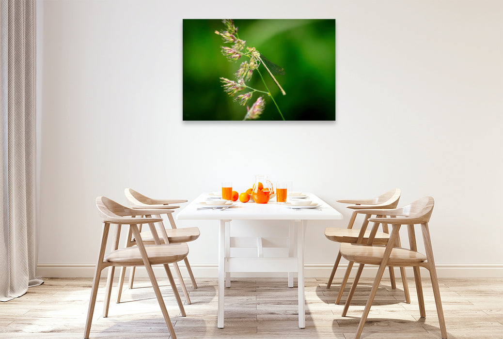 Premium textile canvas Premium textile canvas 120 cm x 80 cm landscape Rush maiden 