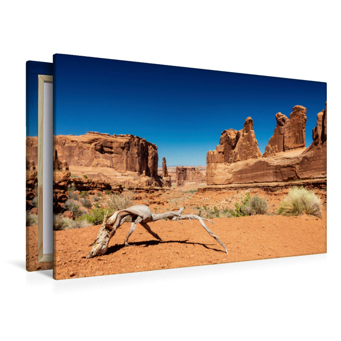 Premium Textil-Leinwand Premium Textil-Leinwand 120 cm x 80 cm quer Park Avenue in Arches National Park