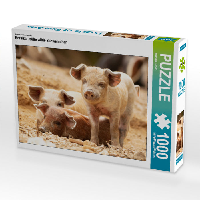 Korsika - süße wilde Schweinchen - CALVENDO Foto-Puzzle - calvendoverlag 29.99