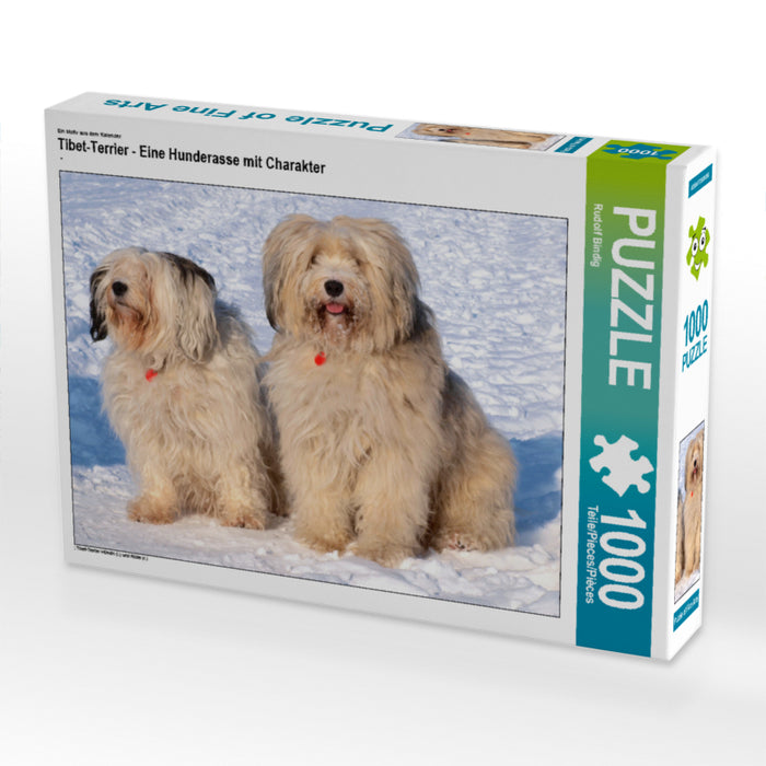 Tibet-Terrier - Eine Hunderasse mit Charakter - CALVENDO Foto-Puzzle - calvendoverlag 29.99