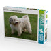 Tibet-Terrier - Eine Hunderasse mit Charakter - CALVENDO Foto-Puzzle - calvendoverlag 29.99