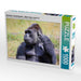 Westlicher Flachlandgorilla – Silberrücken Jambo (3) - CALVENDO Foto-Puzzle - calvendoverlag 29.99