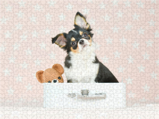 Süßer Chihuahua mit Teddy - CALVENDO Foto-Puzzle - calvendoverlag 29.99