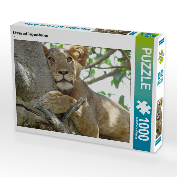 Löwen auf Feigenbäumen - CALVENDO Foto-Puzzle