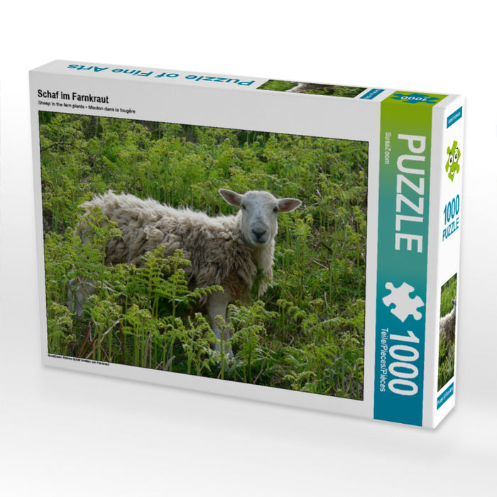 Schaf im Farnkraut - CALVENDO Foto-Puzzle - calvendoverlag 29.99
