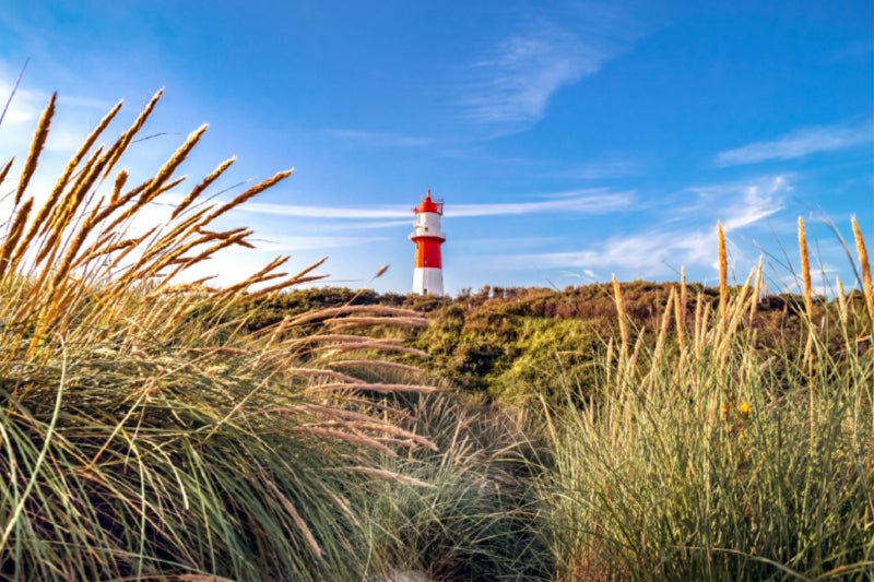 Toile textile haut de gamme Toile textile haut de gamme 120 cm x 80 cm paysage Phare électrique de Borkum 