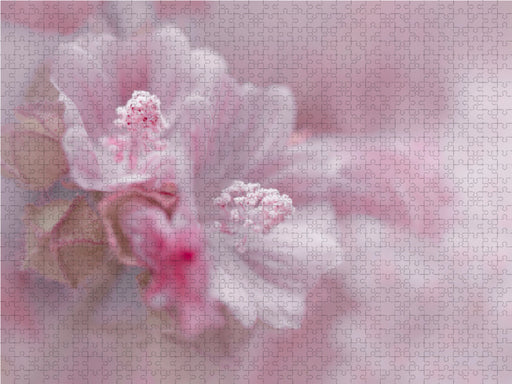 Rosa Hibiscus - CALVENDO Foto-Puzzle - calvendoverlag 29.99