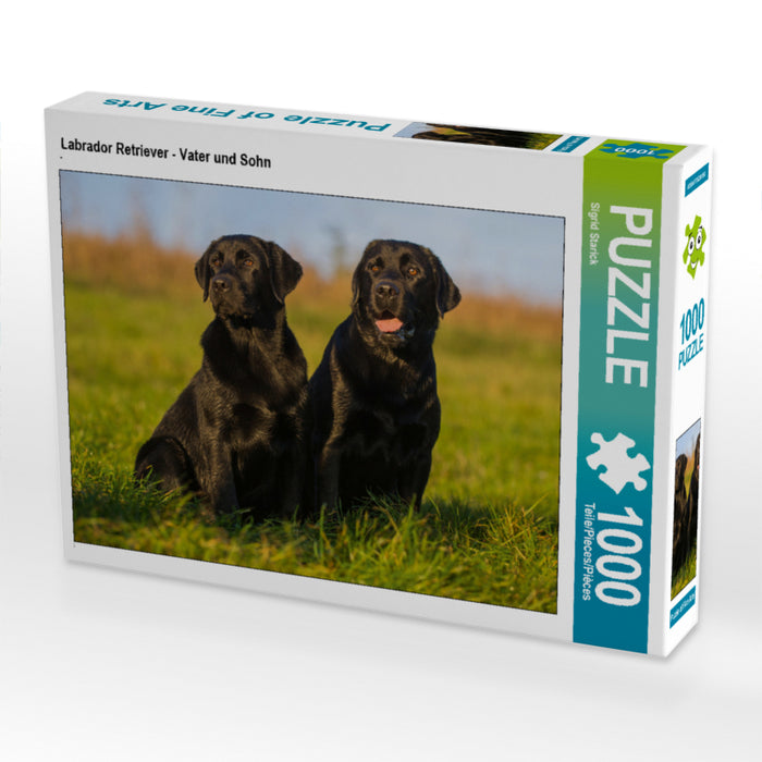 Labrador Retriever - Vater und Sohn - CALVENDO Foto-Puzzle - calvendoverlag 29.99