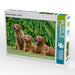 Labrador Retriever - Red Fox - CALVENDO Foto-Puzzle - calvendoverlag 29.99