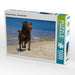 Labrador Retriever - Sommerfreuden - CALVENDO Foto-Puzzle - calvendoverlag 29.99