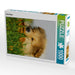 Collie Welpe - CALVENDO Foto-Puzzle - calvendoverlag 29.99