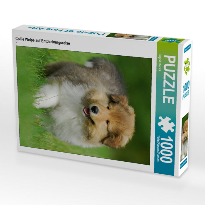 Collie Welpe auf Entdeckungsreise - CALVENDO Foto-Puzzle - calvendoverlag 29.99