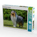 Ein prachtvoller Collie Rüde - CALVENDO Foto-Puzzle - calvendoverlag 29.99