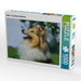 Sheltie - Ein hübsches Mädchen - CALVENDO Foto-Puzzle - calvendoverlag 29.99