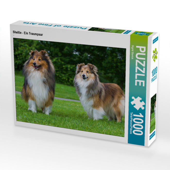 Sheltie - Ein Traumpaar - CALVENDO Foto-Puzzle - calvendoverlag 29.99