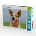 Australian Cattle Dog Porträt - CALVENDO Foto-Puzzle - calvendoverlag 29.99