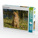 Harzer Fuchs im Herbst - CALVENDO Foto-Puzzle - calvendoverlag 29.99