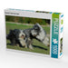 Bearded Collies beim Spiel - CALVENDO Foto-Puzzle - calvendoverlag 29.99