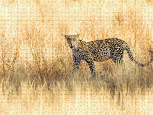 Leopard im trockenen Gras - CALVENDO Foto-Puzzle - calvendoverlag 29.99