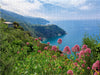 Trail östlich von Vernazza - CALVENDO Foto-Puzzle - calvendoverlag 29.99