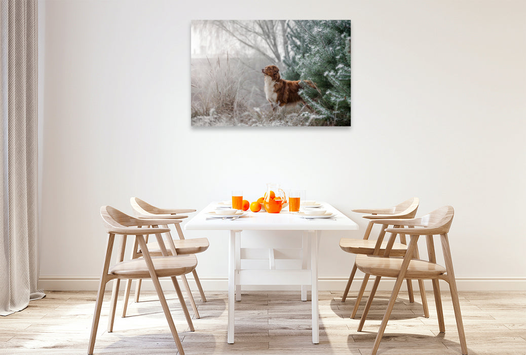 Premium Textil-Leinwand Premium Textil-Leinwand 120 cm x 80 cm quer Australian Shepherd in frostiger Winterlandschaft