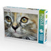 Maine Coon Mix - CALVENDO Foto-Puzzle - calvendoverlag 29.99