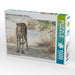 Gepard in der Central Kalahari, Botswana - CALVENDO Foto-Puzzle - calvendoverlag 29.99