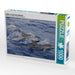 Delfine vor der Küste Madeiras - CALVENDO Foto-Puzzle - calvendoverlag 29.99