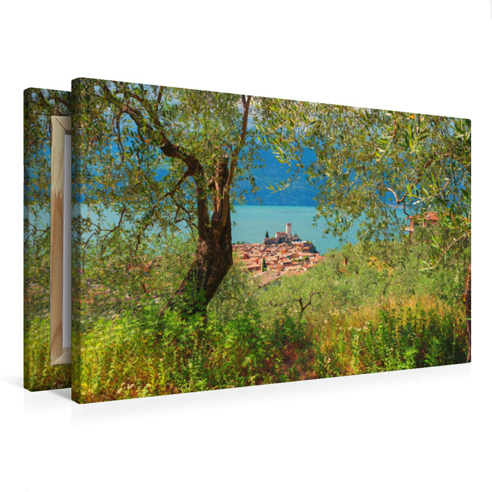 Premium textile canvas Premium textile canvas 75 cm x 50 cm landscape Olive Grove Malcesine 