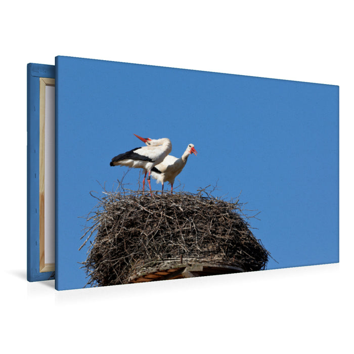 Premium textile canvas Premium textile canvas 120 cm x 80 cm landscape white stork 