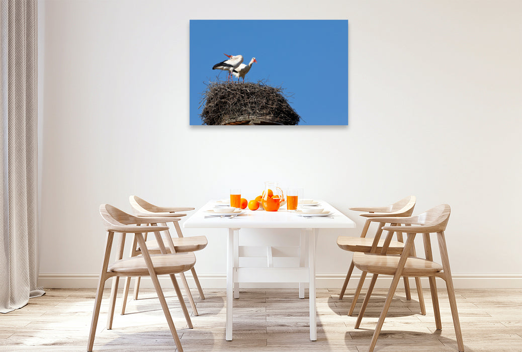 Premium textile canvas Premium textile canvas 120 cm x 80 cm landscape white stork 