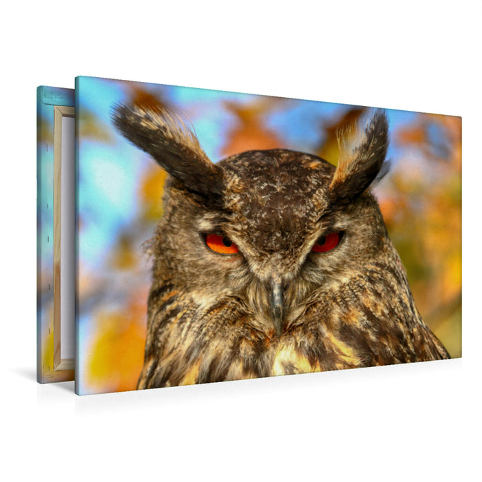 Premium textile canvas Premium textile canvas 120 cm x 80 cm landscape eagle owl 