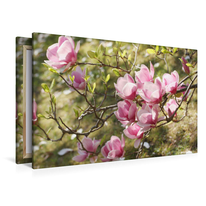 Premium textile canvas Premium textile canvas 120 cm x 80 cm landscape magnolia branch 