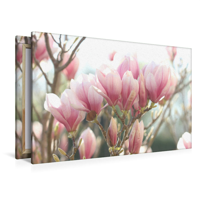 Premium textile canvas Premium textile canvas 120 cm x 80 cm landscape magnolia tree 