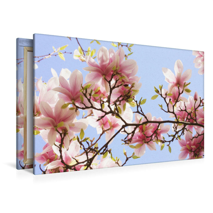 Premium textile canvas Premium textile canvas 120 cm x 80 cm landscape Delicate magnolia flowers 