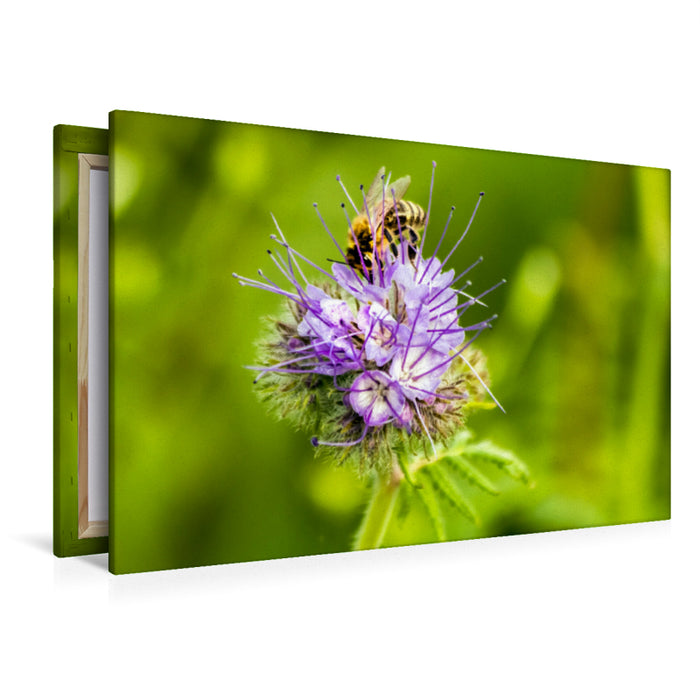 Premium textile canvas Premium textile canvas 120 cm x 80 cm landscape honey bee on flower 