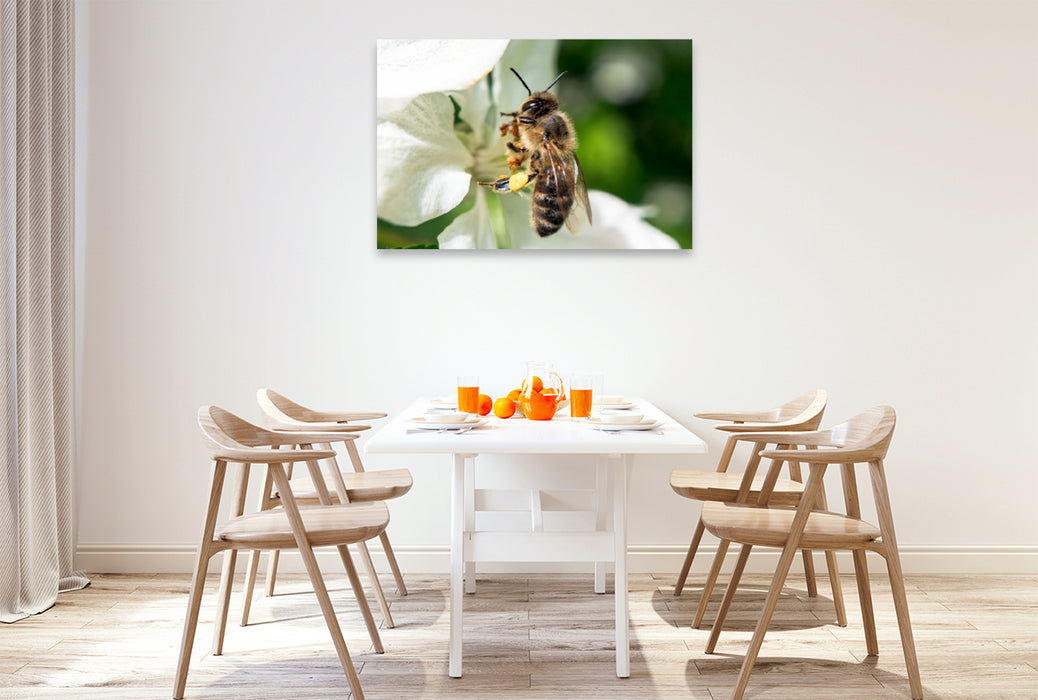 Premium textile canvas Premium textile canvas 120 cm x 80 cm landscape Bee up close 