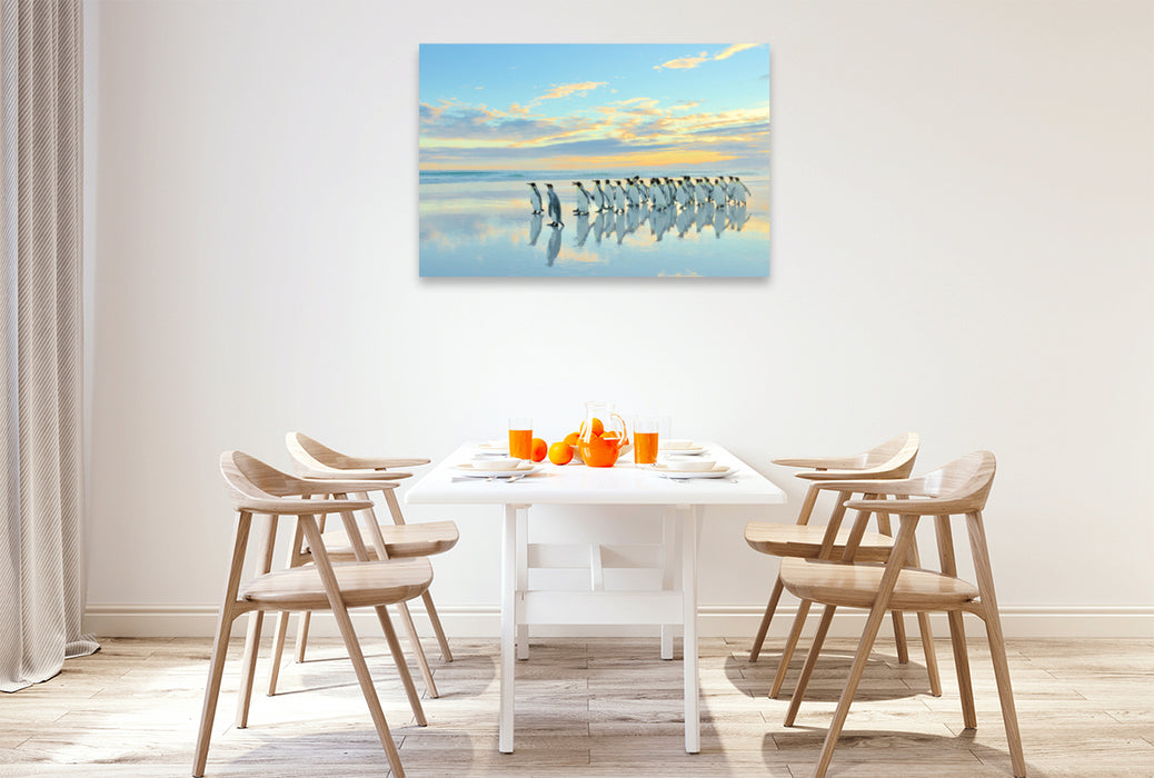 Premium textile canvas Premium textile canvas 120 cm x 80 cm landscape A motif from the calendar Penguins of the Falkland Islands 