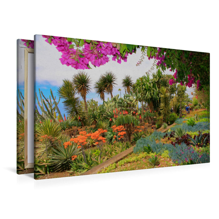 Premium Textil-Leinwand Premium Textil-Leinwand 120 cm x 80 cm quer Botanischer Garten Kakteen