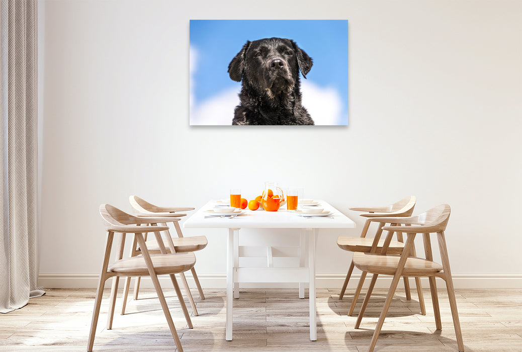 Premium textile canvas Premium textile canvas 120 cm x 80 cm landscape Black Labrador on the beach 