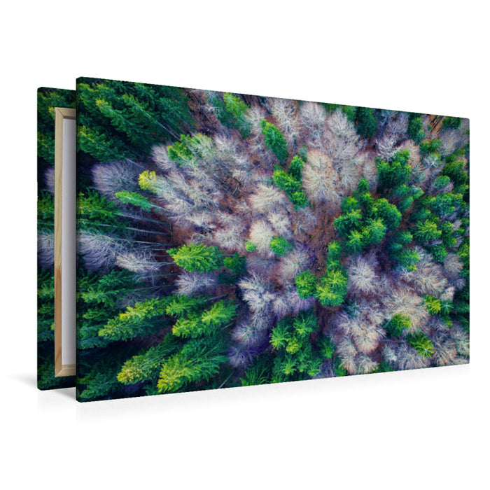 Premium textile canvas Premium textile canvas 120 cm x 80 cm landscape mixed forest from a bird's eye view 